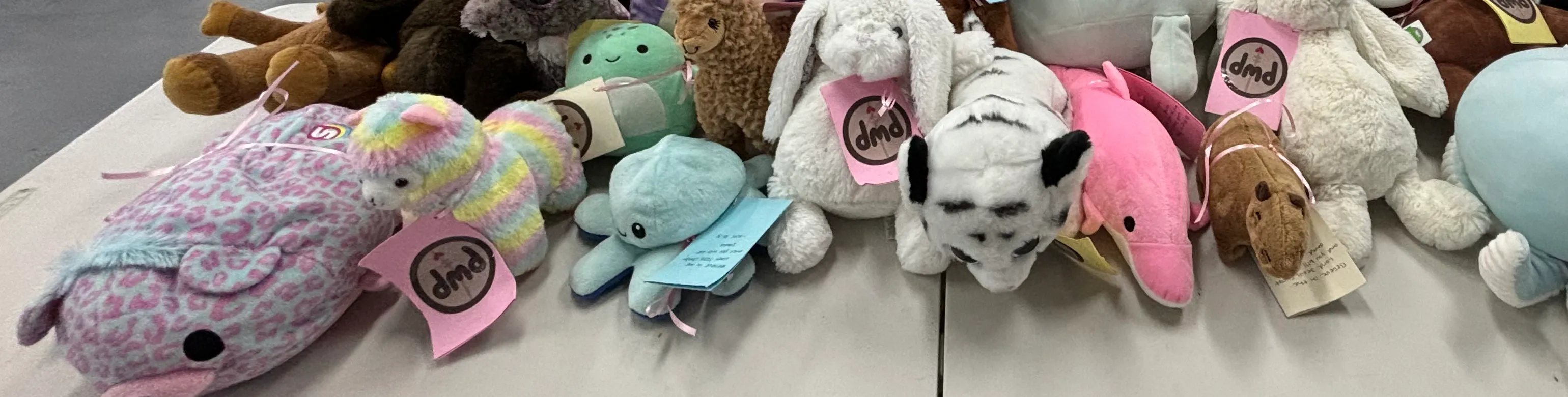A row of donated plushies, each carrying a handwritten tag